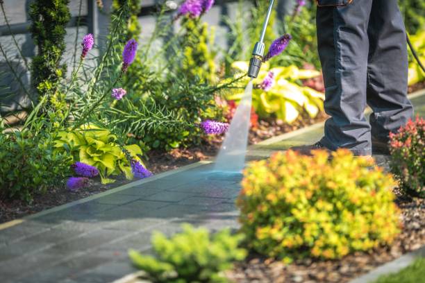 Best Warehouse Cleaning  in Westmont, CA